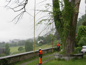 Lindentransport 23.05.05 014  